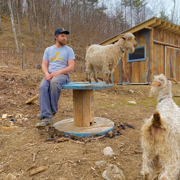 Meet your Posher, Mandolyn - Picture 4 of 4